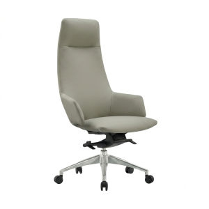 fauteuils présidentiels