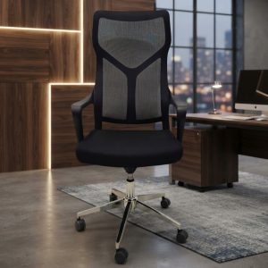 fauteuils présidentiels